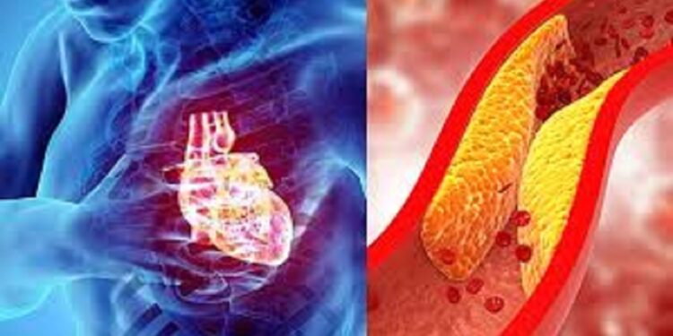 கெட்ட கொழுப்பில் இருந்து இதயத்தை பாதுகாத்து கொள்ள!
