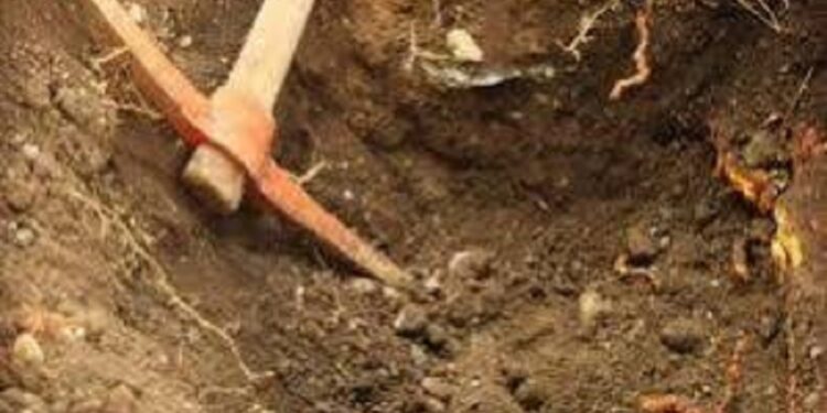 புதையல் தோண்டிய நபர்கள் கைது!