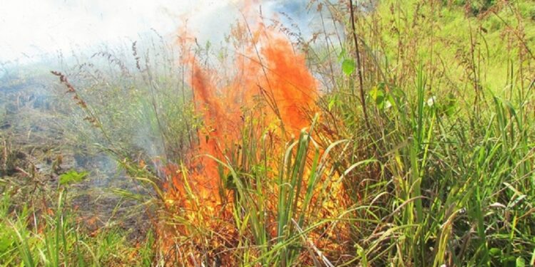 எல்ல மலைத்தொடர் தீ விபத்து மலைத்தொடர் முழுவதும் பரவும் அபாயம்!