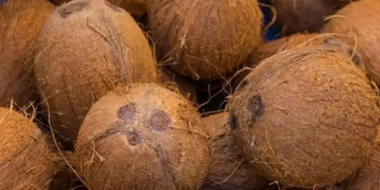 நாட்டில் நிலவும் தேங்காய் தட்டுபாட்டிற்கு அரசின் தீர்வு!