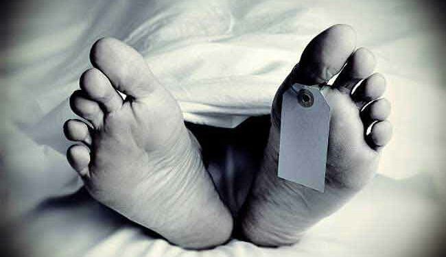 ஆட்டுக்கு புல் அறுக்க சென்றவர் சடலமாக மீட்பு!