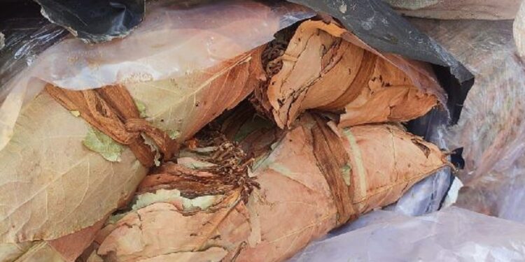 பல கோடி ரூபா பெறுமதியான பீடி இலைகளுடன் ஒருவர் கைது!