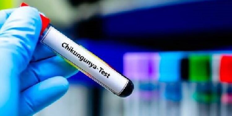 நாட்டில் வேகமாக பரவும் சிக்குன்குனியா மக்களுக்கு எச்சரிக்கை!