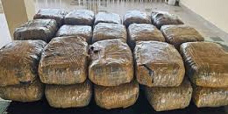 யாழில் பெரும் தொகை கஞ்சா மீட்பு!