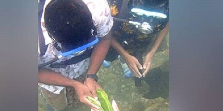 முதன் முறையாக இலங்கையில் நீருக்கு அடியில் புத்தாண்டு விழா!