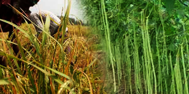 விவசாயிகளுக்கு மகிழ்ச்சியான செய்தியை வெளியிட்டுள்ள ஜனாதிபதி!