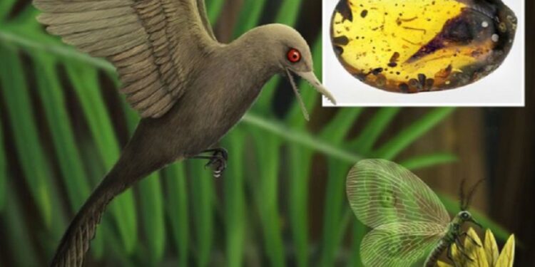 கிட்டத்தட்ட10 கோடி ஆண்டுகள் பழமையான டைனோசர் எலும்பு கண்டுபிடிப்பு