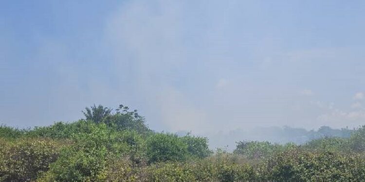 யாழ் கல்லுண்டாயில் கொட்டப்படும் கழிவுகள் தொடர்பில் பொது மக்கள் விசனம்!