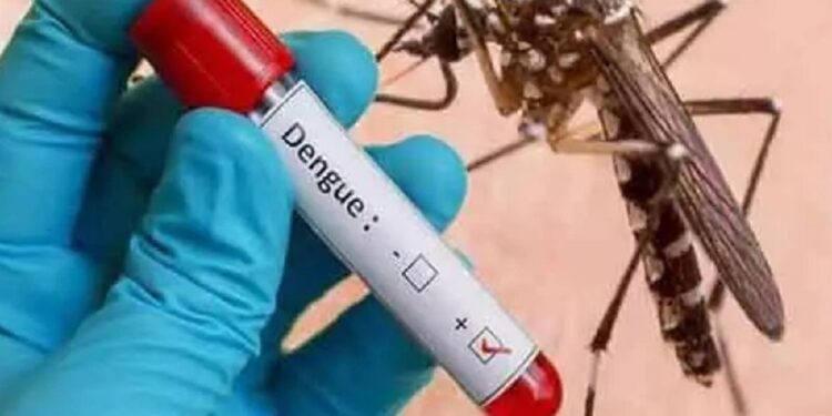 இரத்தினபுரியில் சுகாதார ஊழியர்களுக்கு டெங்கு