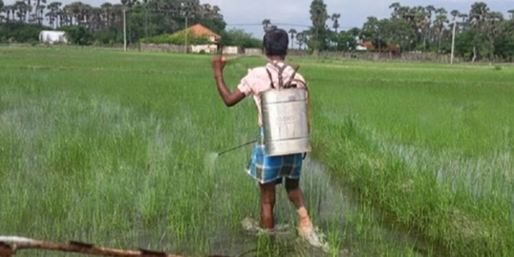 உரமானியம் வழங்குவதில் தாமதம்! கண்டனம் வெளியிட்டுள்ள விவசாயிகள்
