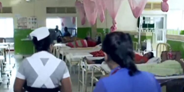 வாகன விபத்தில் இரண்டு வெளிநாட்டு பெண்கள் காயம்!