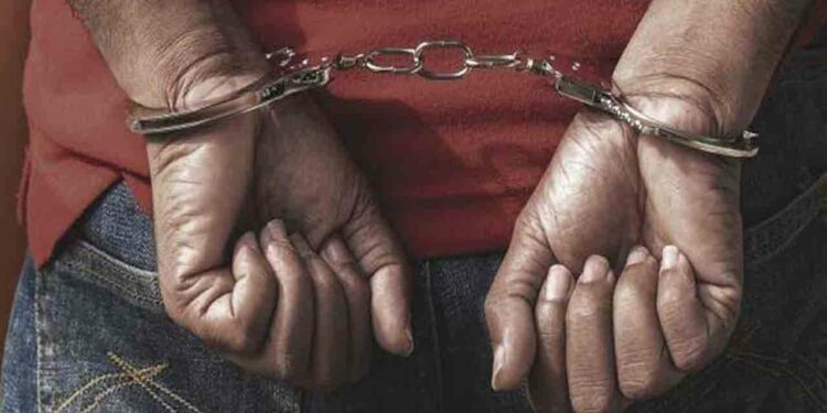 பல்வேறு திருட்டு சம்பவங்களுடன் தொடர்புடைய நபர் கைது!