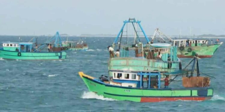 இலங்கையிலிருந்து விடுவிக்கப்பட்ட 14 இந்திய மீனவர்கள் மீண்டும் சென்னைக்கு திரும்பியுள்ளனர்