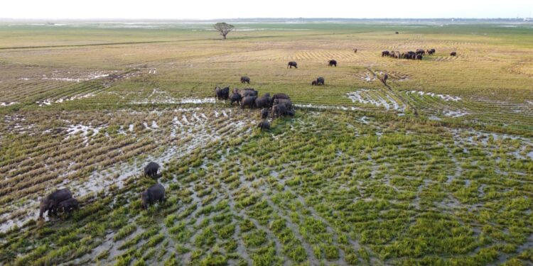 அம்பாறையில் மின்னல தாக்கியதில் ஒருவர் பலி!