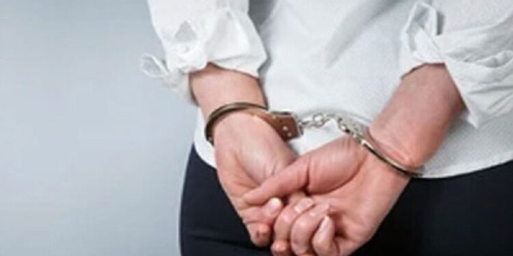 கட்டுநாயக்க விமான நிலையத்தில் கைதான பிரித்தானிய பெண்!