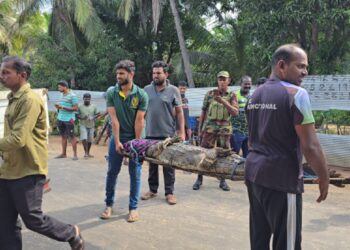 மட்டக்களப்பில் அழையா விருந்தாளி வீட்டிற்குள் நுழைந்ததால் பரபரப்பு!