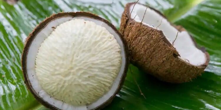 தேங்காய் பூவில் உள்ள நன்மைகள்!