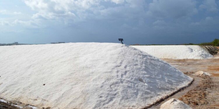 உப்பு இறக்குமதி தொடர்பில் வெளியாகிய செய்தி!