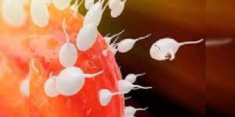 ஒரு ஆணின் விந்தணு மூலம் பிறந்த 67 குழந்தைகள்!