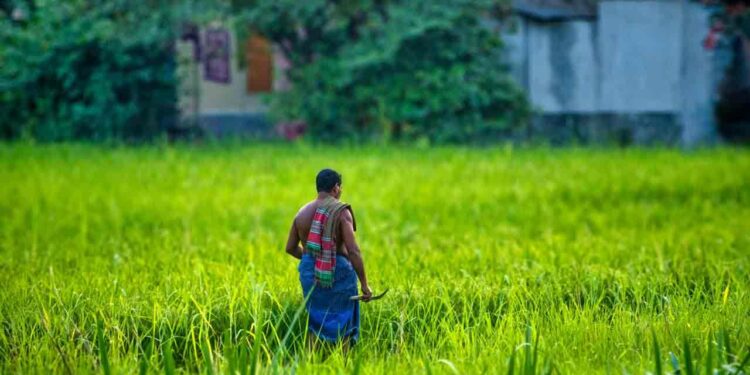 விவசாயிகளுக்கு உரமானியமாக இதுவரை 190 மில்லியன் வைப்பிலிடப்பட்டுள்ளது!