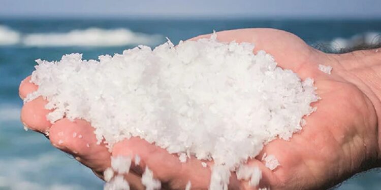 இந்தியாவில் இருந்து உப்பு இறக்குமதி!