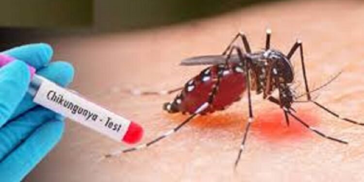 சிக்குன்குன்யா நோய் பரவும் அபாயம் மக்களுக்கு எச்சரிக்கை!