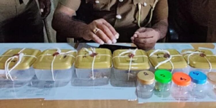 வவுனியாவில் பல இலட்சம் பெறுமதியான நகைகளுடன் சிக்கிய நபர்!