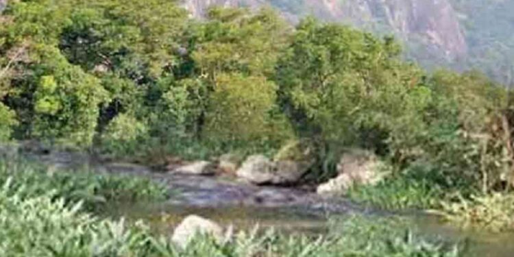 நில்கல வனப்பகுதி தொடர்பில் வெளியான முக்கிய செய்தி!