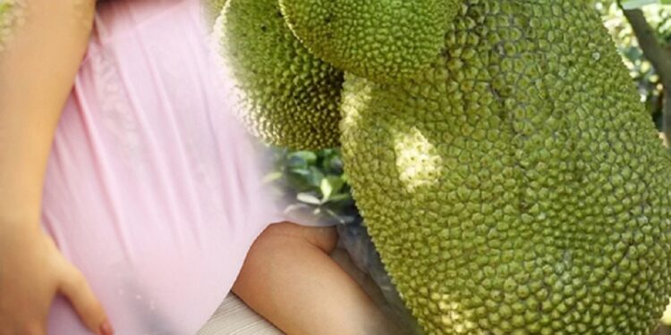 பலாக்காய் விழுந்ததில் கர்ப்பிணியின் சிசுபலி!