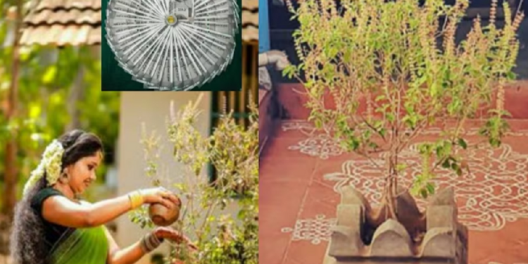 துளசிச் செடியை வீட்டில் எந்த நாளில் நடுவது நன்மை பயக்கும் தெரியுமா?