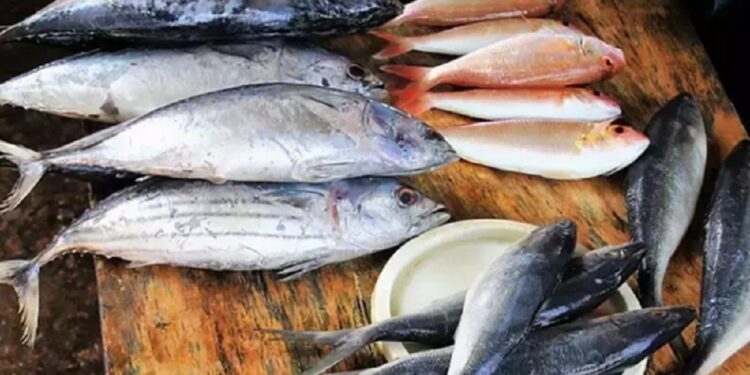 நாட்டில் மீன்களின் விலை உயர்வு!