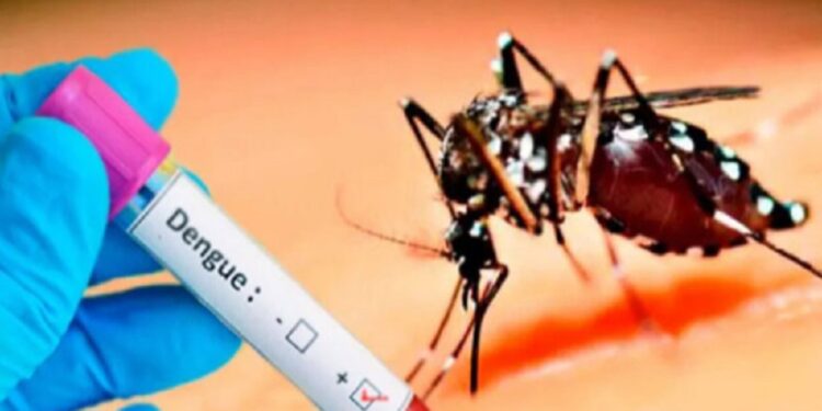 நாட்டில் டெங்கு நோயாளர்களின் எண்ணிக்கை அதிகரிப்பு!