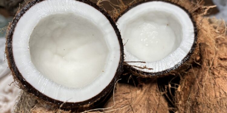 நாட்டில் தேங்காய் விலையில் ஏற்பட்டுள்ள மாற்றம்