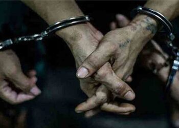 ஒரே நாளில் 488 பேர் கைது!