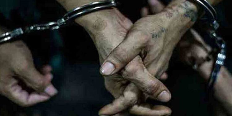 ஒரே நாளில் 488 பேர் கைது!