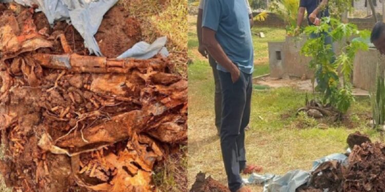 வீட்டு வளாகத்தில் குழித்தோண்டியவருக்கு காத்திருந்த அதிர்ச்சி!