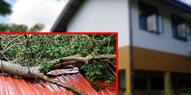 பாடசாலை மீது மரக்கிளை விழுந்ததில் மாணவன் பலி!