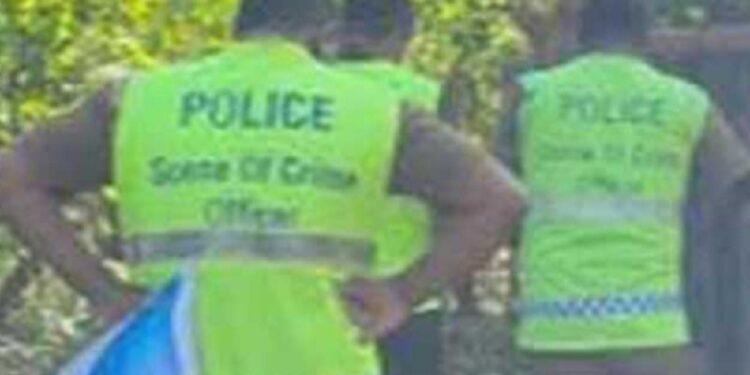 நெல் வயலில் ஒரு பெண்ணின் உடல் மீட்பு!