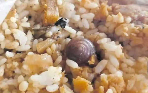 வைத்தியசாலை உணவுப் பொதியில் காத்திருந்த விருந்தாளி!