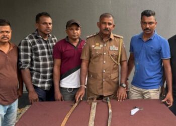 யாழில் மூன்று இளைஞர்கள் கைது!