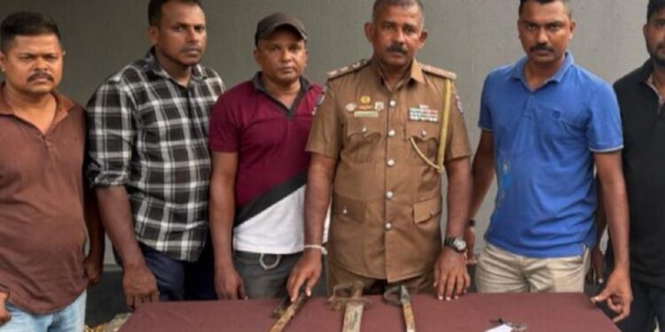 யாழில் மூன்று இளைஞர்கள் கைது!