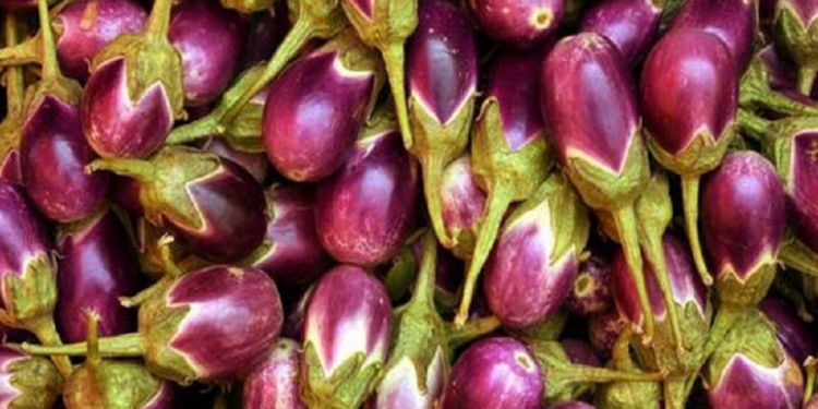 கத்திரிக்காயை அதிகமாக உற்பத்தி செய்யும் நாடு எது?