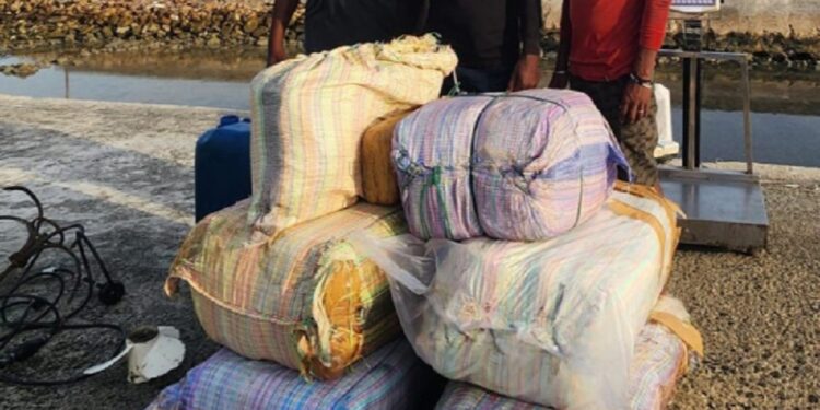 யாழில் பறிமுதல் செய்யப்பட்ட பெரும் தொகை கஞ்சா