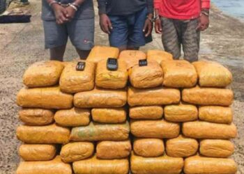 யாழில்  கஞ்சாவுடன் மூவர் கைது!