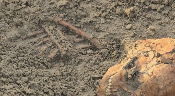 யாழ் செம்மணியில் தொடர்ந்து மீட்கப்படும் எலும்புக் கூடுகள்!