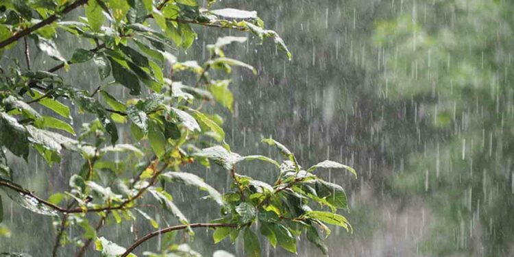 இன்றைய வானிலை முன்னறிவிப்பு!