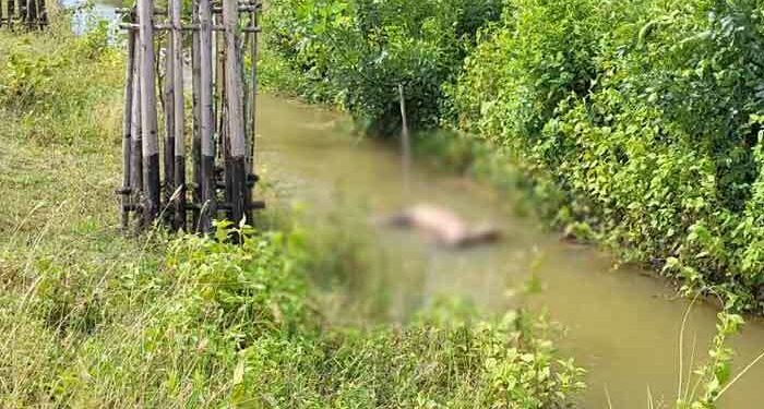 வாய்க்காலில் ஆணின் சடலம் மீட்பு!