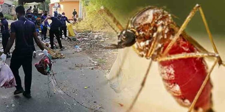 இன்று முதல் தேசிய நுளம்பு கட்டுப்பாட்டு வாரம்