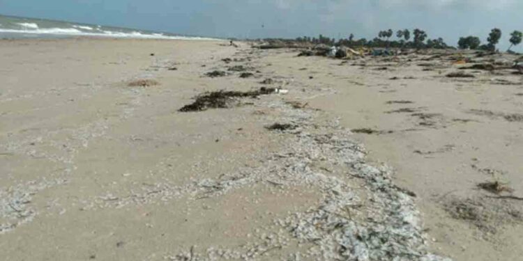 மன்னாரில் கரையொதுங்கும் ஆபத்தான பொருட்கள்!