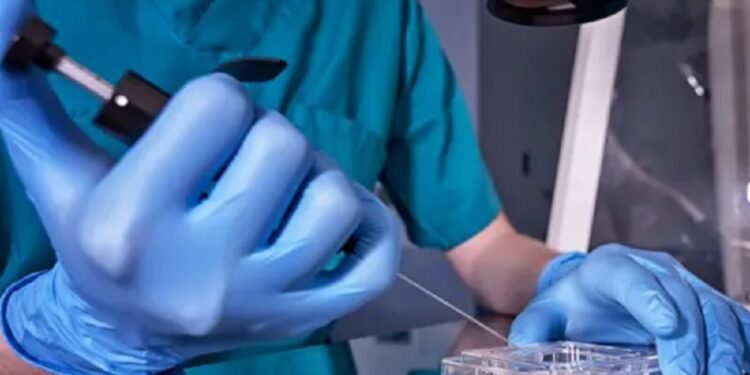 இலங்கையில் முதலாவது செயற்கை முறை கருத்தரிப்பு வெற்றி